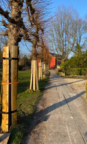 vrboombescherming(4)