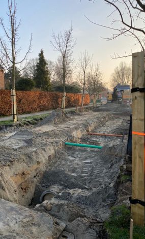 vrboombescherming(8)