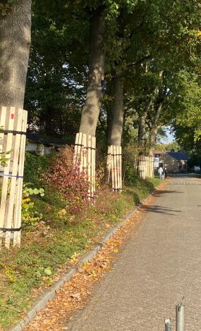 vrboombescherming(16)