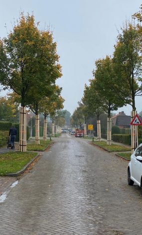 vrboombescherming(17)